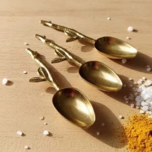 قاشق ادویه شاخه ای نوین